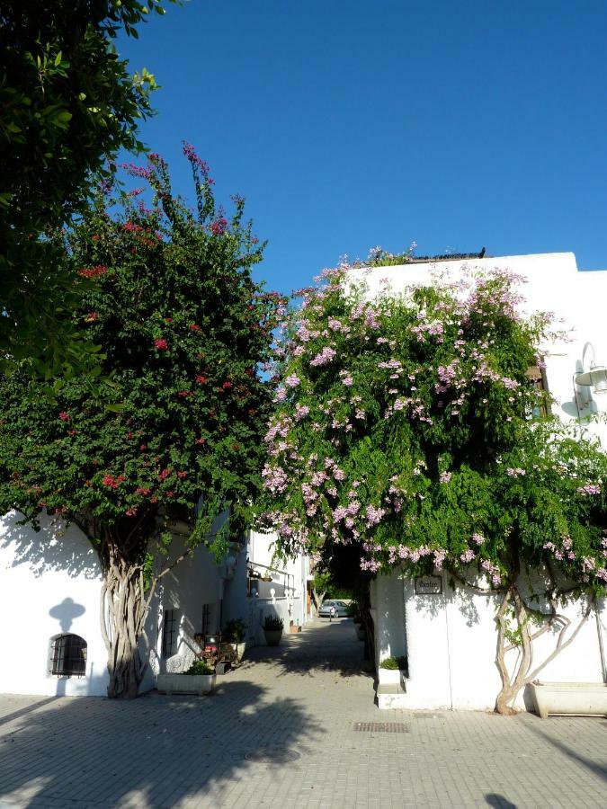 El Malenito Villa Agua Amarga  Exteriör bild